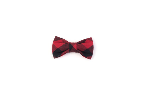 Red and black plaid kitten bow tie accessory on white background